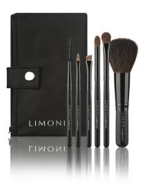 Набор кистей Limoni Professional compact Kit (6 кистей в чехле)																												, фото 